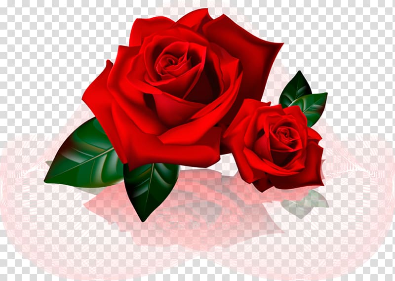 Saturday Week Akhir pekan , rosas para convite transparent background PNG clipart