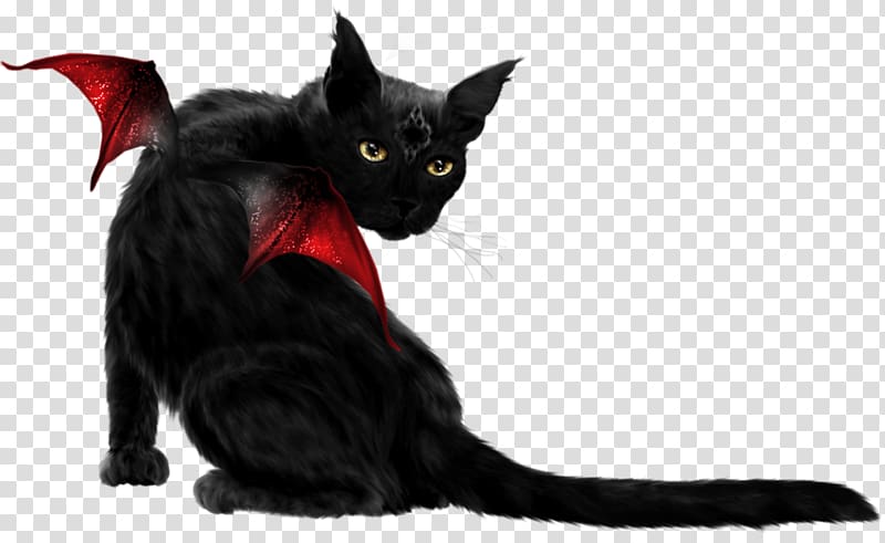 Bombay cat Black cat Kitten Whiskers, Red Wings black cat transparent background PNG clipart