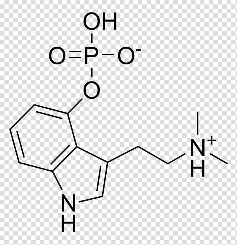 Psilocybin mushroom Psilocybe Psilocin Chemical structure, formula transparent background PNG clipart