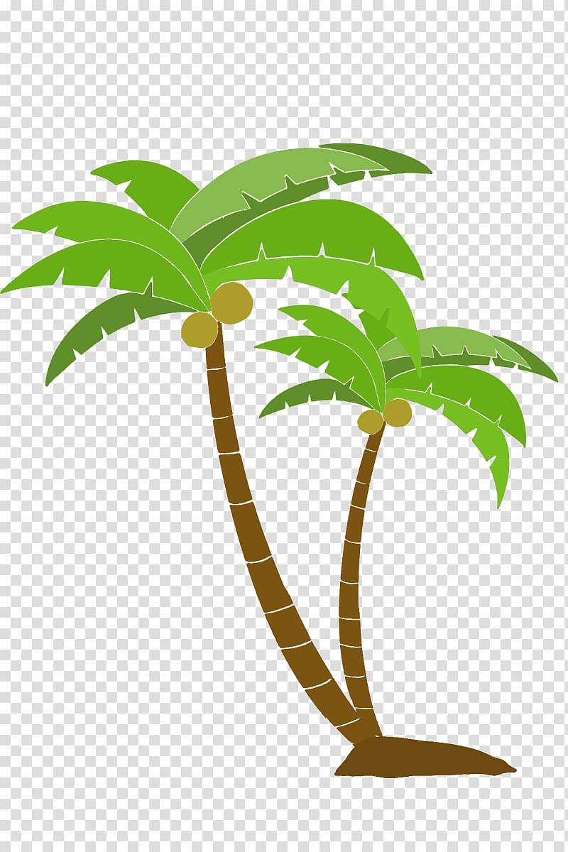 Arecaceae Tree Woody plant, coconut tree transparent background PNG clipart