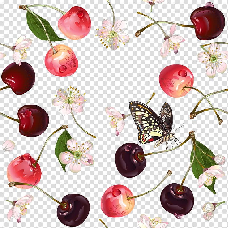 Cherry Auglis Fundal, Sweet cherry fruit transparent background PNG clipart