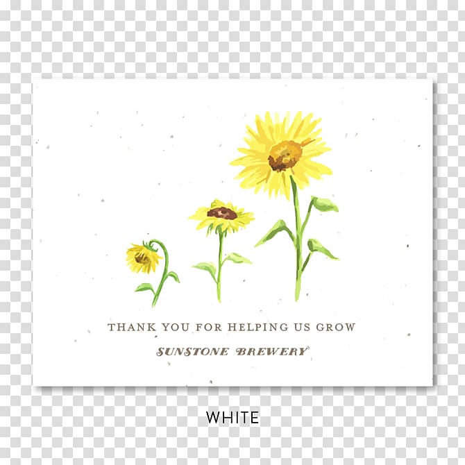 Common sunflower Seed paper Wedding invitation, autumn invitation card mushroom watercolor transparent background PNG clipart