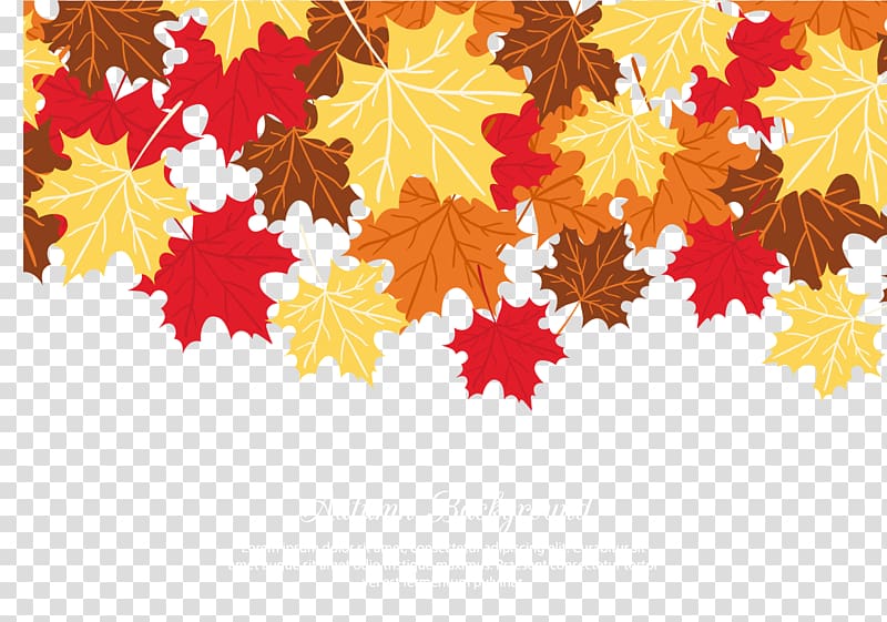 Maple leaf Autumn leaf color, Maple Leaf material transparent background PNG clipart