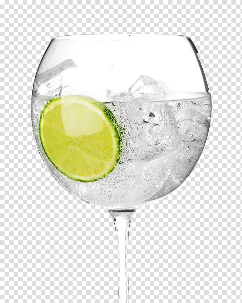 Cocktail Gin and tonic Martini Vermouth, cocktail transparent background PNG clipart