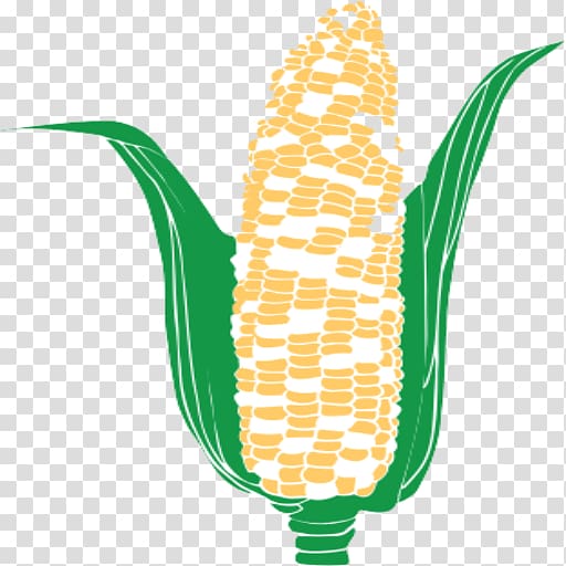 Off the Cob Snacks Maize Salt Tortilla chip Corn on the cob, sweet corn transparent background PNG clipart