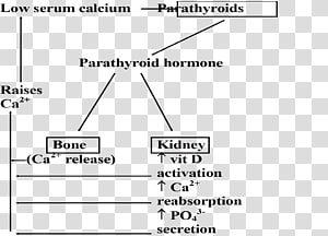 Document Line White Angle, line transparent background PNG clipart thumbnail