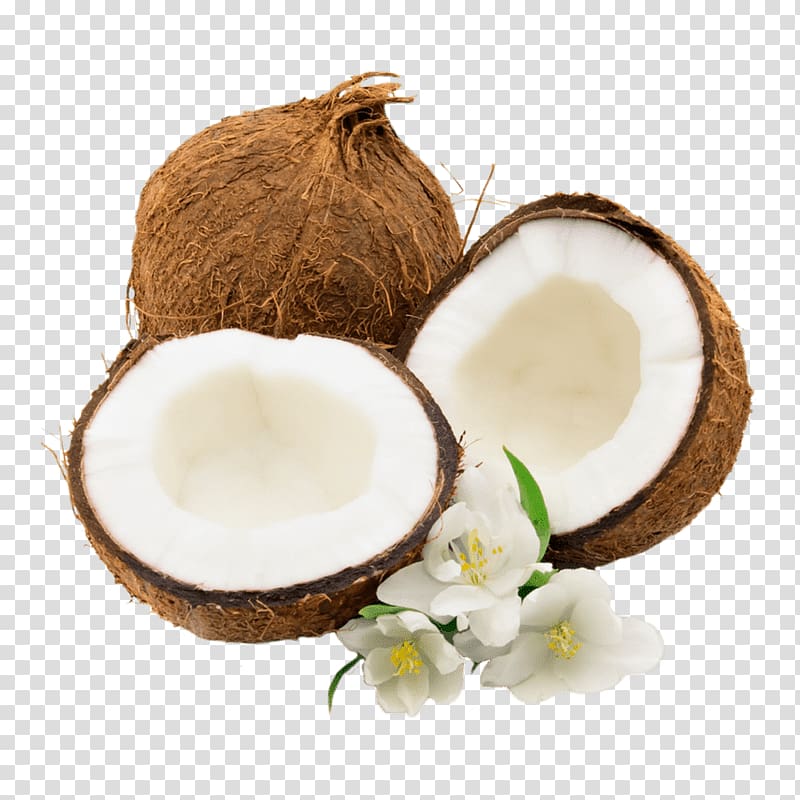Coconut water Coconut milk Coconut oil Food, coconut transparent background PNG clipart