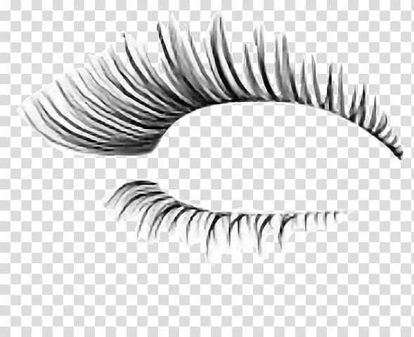 Eyelash extensions Cosmetics Eye Shadow , curly hair drawing transparent background PNG clipart