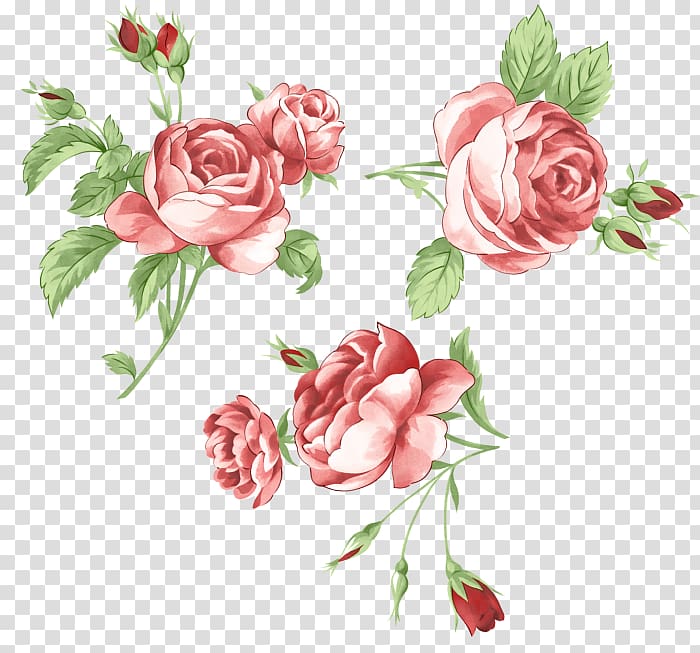 Garden roses Frames Flower Sticker , korean red flowers transparent background PNG clipart