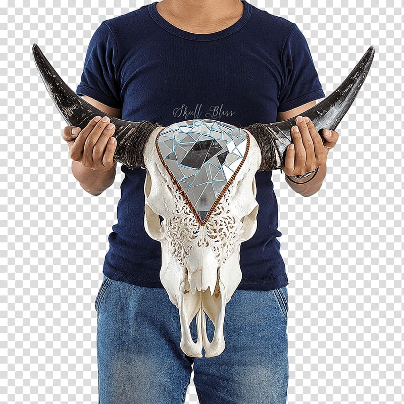 XL Horns Cattle Carving Skull, skull transparent background PNG clipart