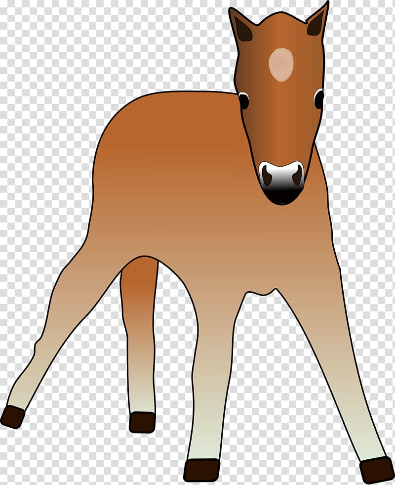 Foal Horse Colt Mare Pony, horse transparent background PNG clipart