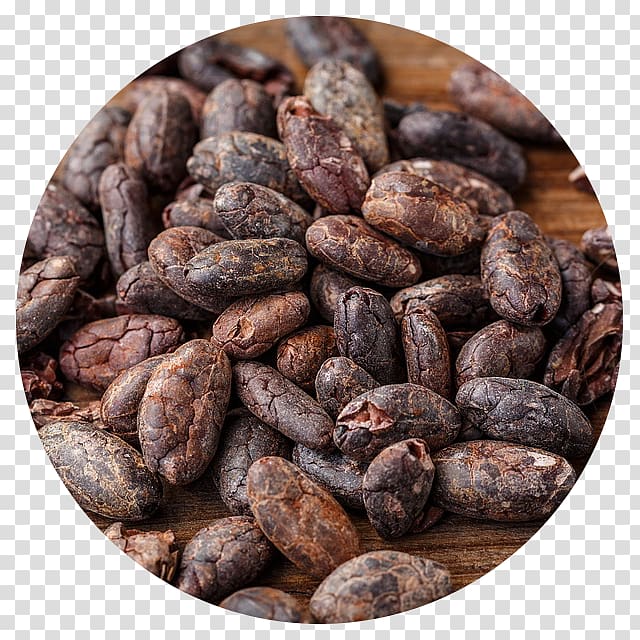 Cacao tree Cocoa bean Food Dark chocolate, chocolate transparent background PNG clipart