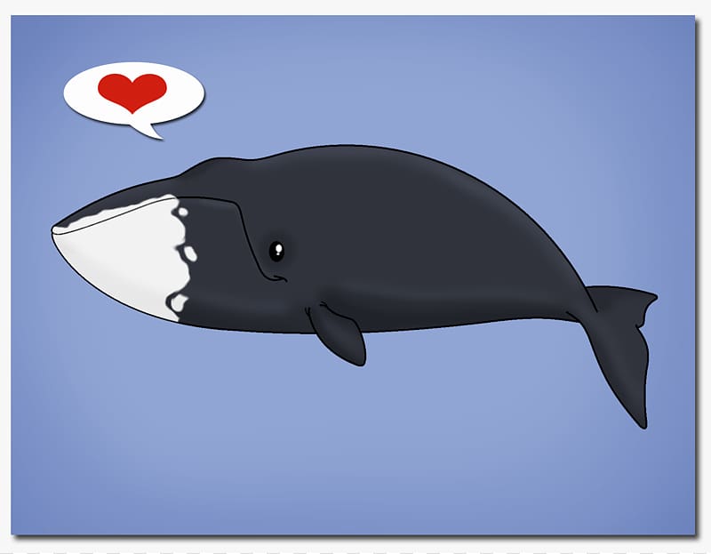 Porpoise Tucuxi Whale Python curtus Dolphin, whale transparent background PNG clipart