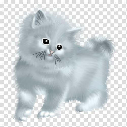 Kitten Persian cat British Semi-longhair Asian Semi-longhair Napoleon cat, kitten transparent background PNG clipart