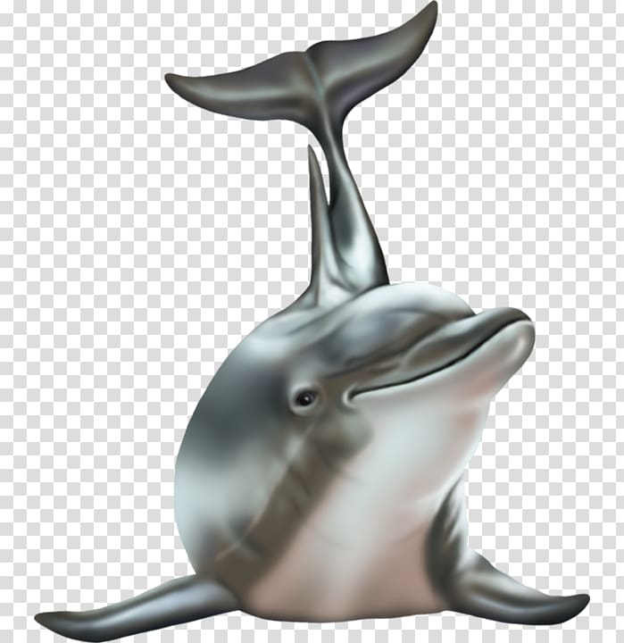 LiveInternet Child Girl Illustration, Cute dolphins transparent background PNG clipart