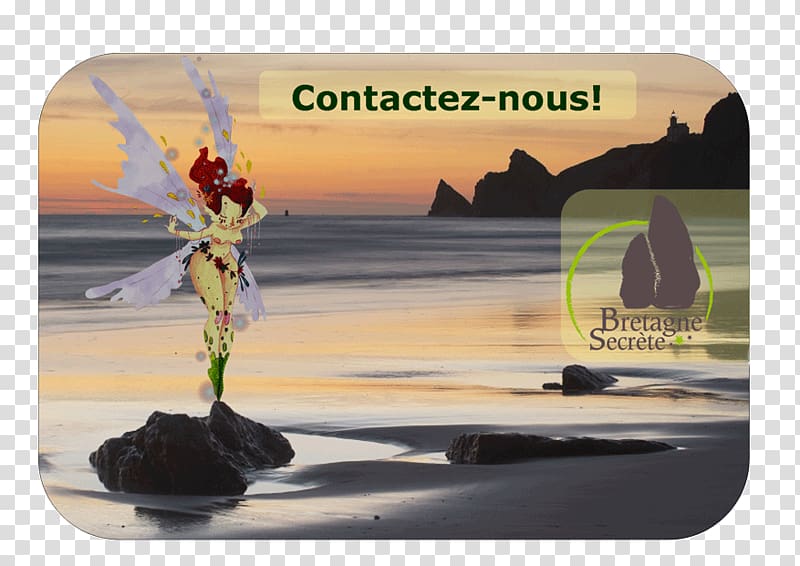 Houat Paimpol Bretagne secrète, agence de voyage réceptive Travel Agent, Travel transparent background PNG clipart