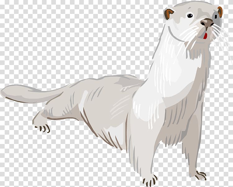 Otter Cat, White Otter transparent background PNG clipart