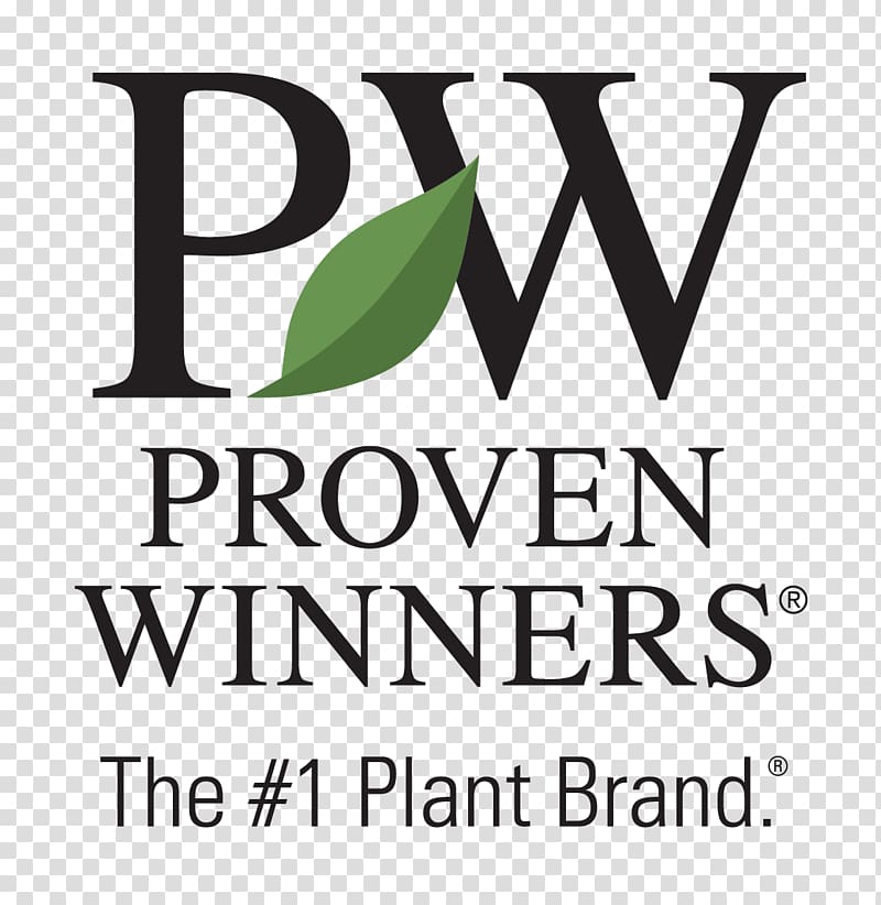 Annuals & Perennials Garden Proven Winners Perennial plant, dream garden transparent background PNG clipart