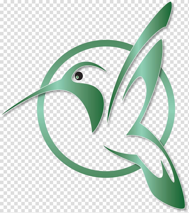 Free Vector | Hand drawn hummingbird logo design