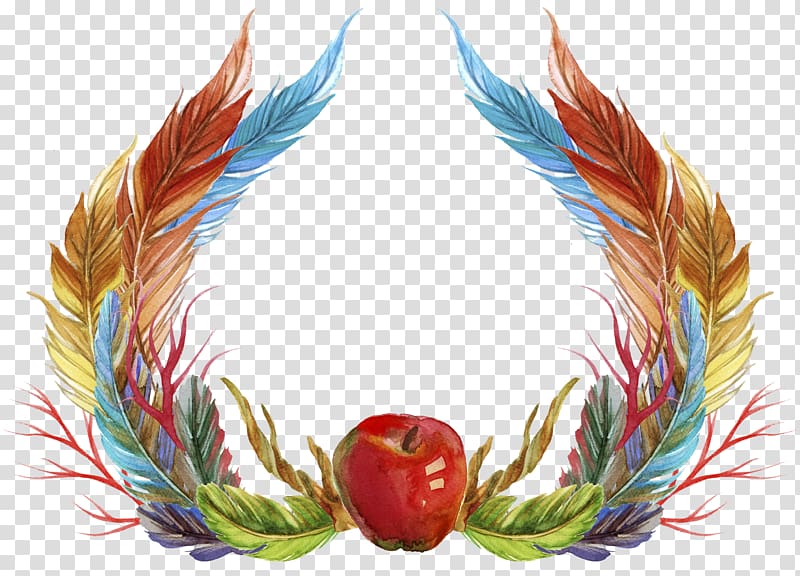 Feather Icon, Plant colorful feathers transparent background PNG clipart