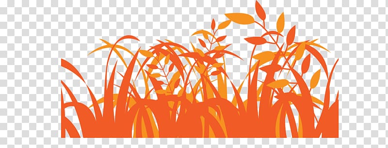 Euclidean Afterglow, Orange meadow transparent background PNG clipart