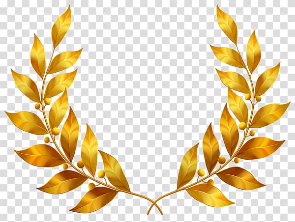brown leaf wreath illustration, Gold leaf Bay Laurel , Golden laurel leaves transparent background PNG clipart