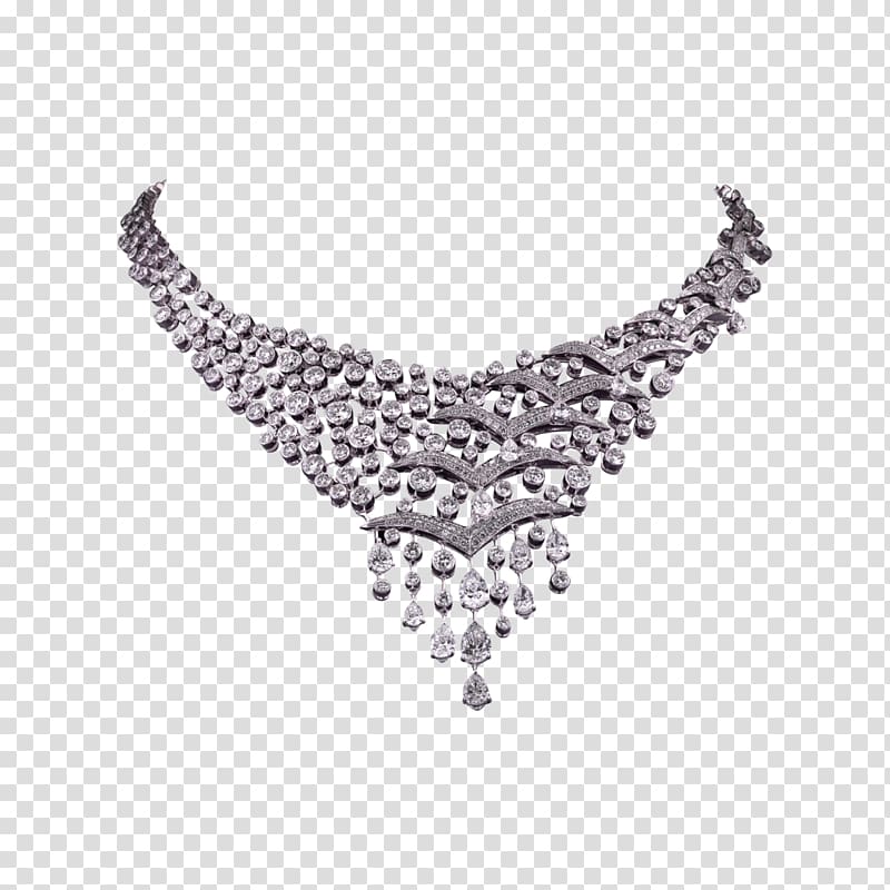 Jewellery Necklace Silver Clothing Accessories Chain, gull transparent background PNG clipart