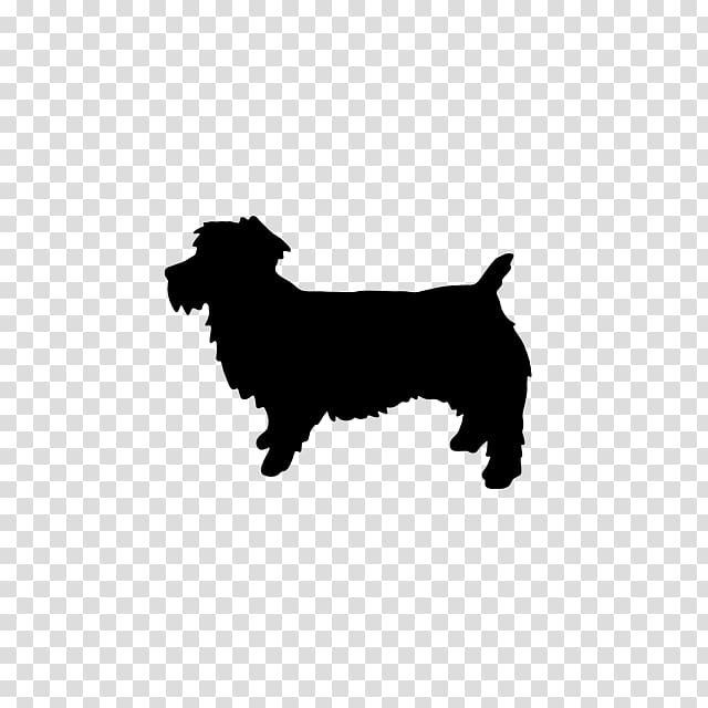Border Collie Rough Collie Malinois dog Belgian Shepherd Glen, Finnish Spitz transparent background PNG clipart