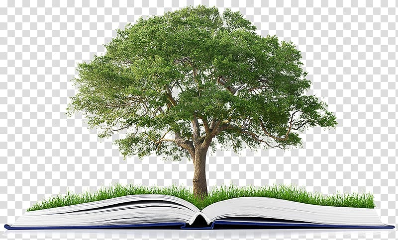 Publishing Book Tree Organization, book transparent background PNG clipart