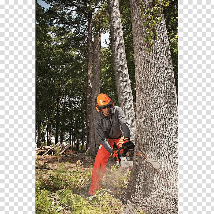 Chainsaw Stihl Felling Saw chain Tree, chainsaw transparent background PNG clipart