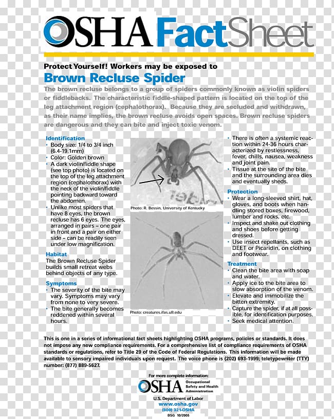 Brown recluse spider Pest Control Spider bite Exterminator, spider transparent background PNG clipart