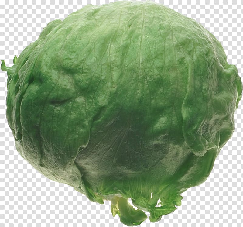 Cabbage Collard greens Food, green mycoplasma transparent background PNG clipart