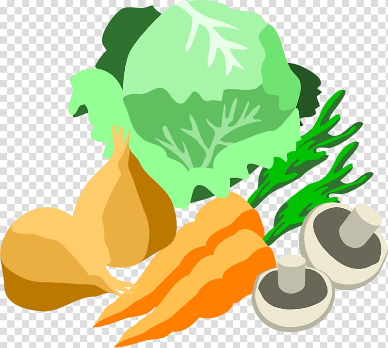 Vegetable farming Carrot Food, illustration transparent background PNG clipart