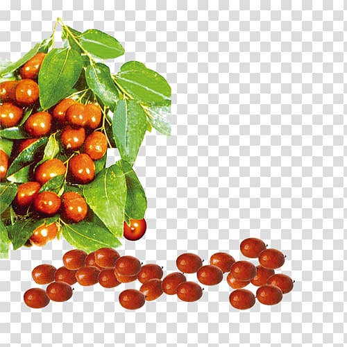 Cranberry Jujube Date palm, Dates transparent background PNG clipart