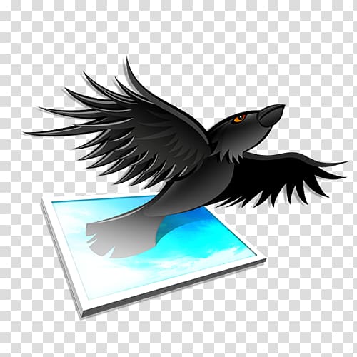 Aviary editing , others transparent background PNG clipart