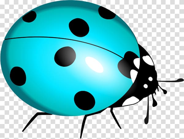 Marinette Dupain-Cheng Beetle Ladybird , Blue Bug transparent background PNG clipart