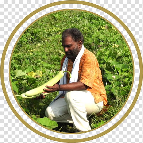 Commissionrate of Agriculture, M.S. Yoga Krishi Vigyan Kendra Kannur Agricultural science, Yoga transparent background PNG clipart