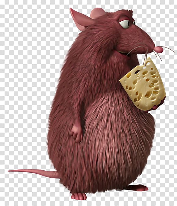 Skinner Rodent Rat Computer mouse , fare transparent background PNG clipart