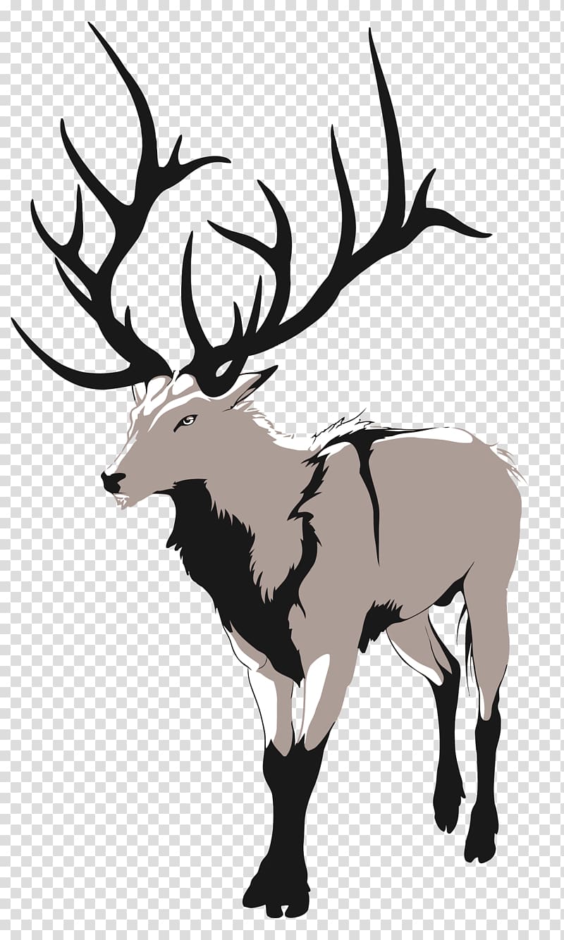 Red deer Artemis Drawing, cartoon deer transparent background PNG clipart