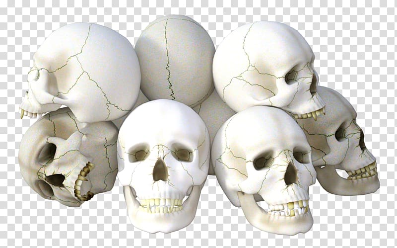 white skulls illustration, Skull Icon, Skull transparent background PNG clipart