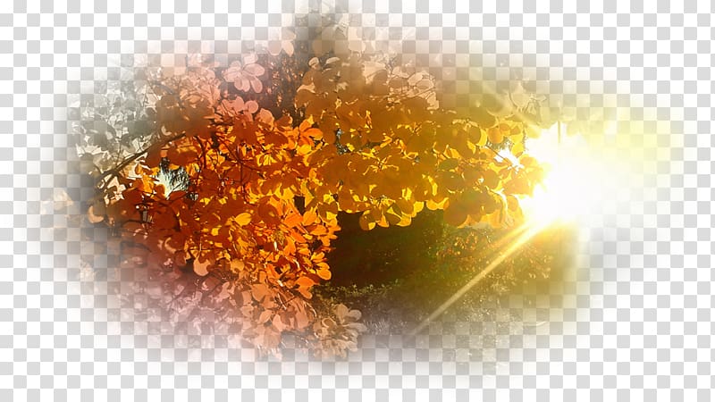 Morning Daytime Autumn Night, others transparent background PNG clipart