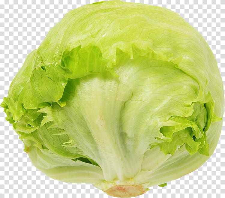 Romaine lettuce Vegetable Salad Cooking, vegetable transparent background PNG clipart