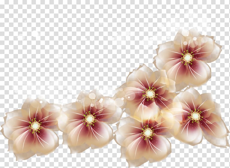 Flower , flower transparent background PNG clipart | HiClipart