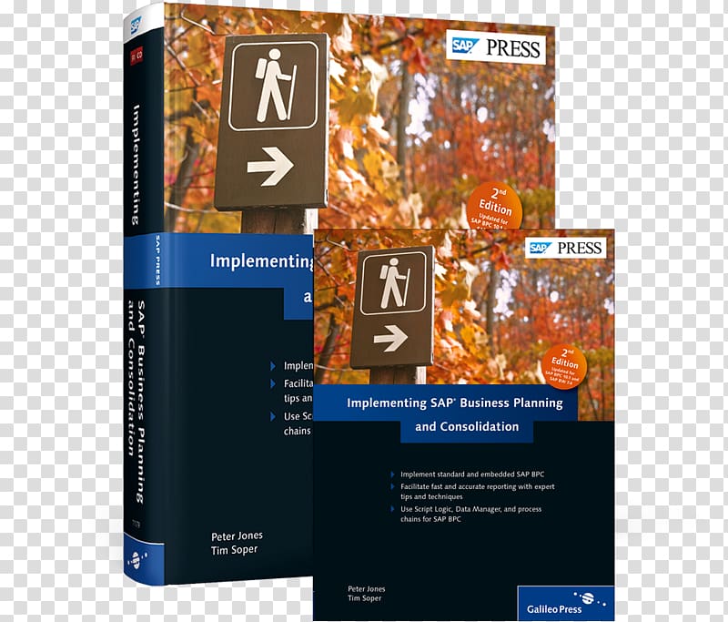 SAP implementation Computer Software SAP SE Business, Business transparent background PNG clipart