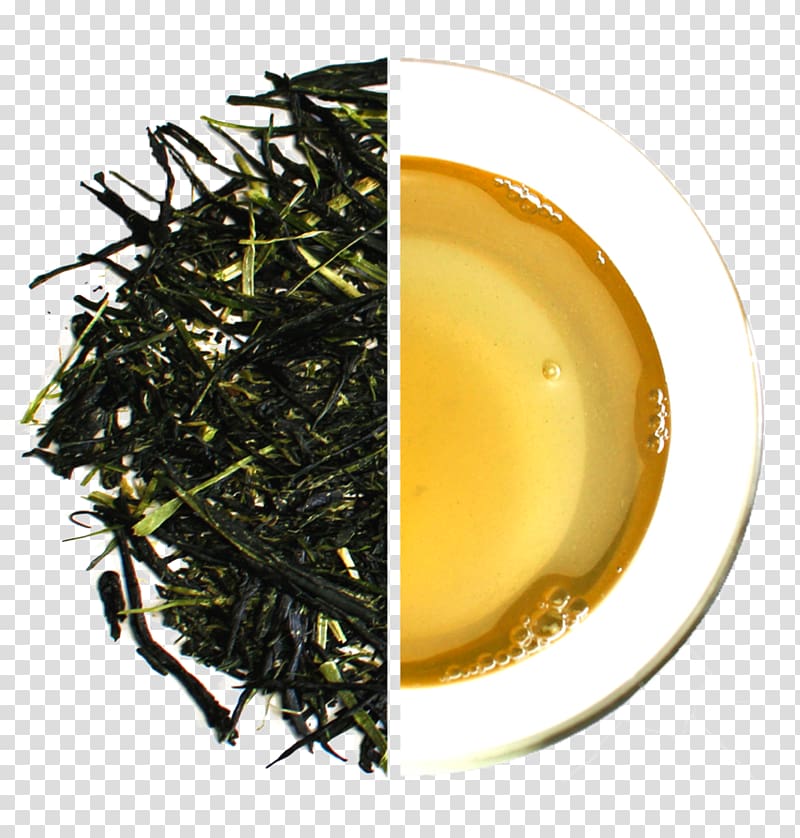 Sencha Green tea Kabusecha Gyokuro, green tea transparent background PNG clipart