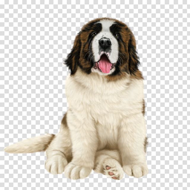 Pyrenean Mastiff St. Bernard Dog breed Moscow Watchdog Landseer dog, newfoundland dog transparent background PNG clipart