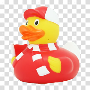 Page 14 Rubber Duck Transparent Background Png Cliparts Free Download Hiclipart - rubber duckie roblox