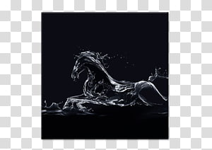 Canvas print Painting Horse, painting transparent background PNG clipart thumbnail