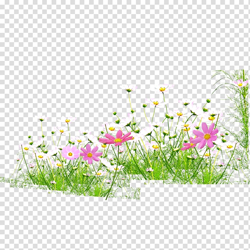 white and pink flowers, Flowers,grass,spring,bloom transparent background PNG clipart