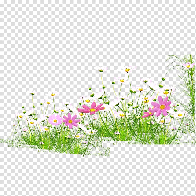 flowers,grass,spring,bloom transparent background PNG clipart